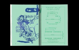 Do You Like My Skateboard? By Jordan Meerdink 