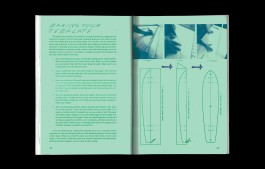 Do You Like My Skateboard? By Jordan Meerdink 